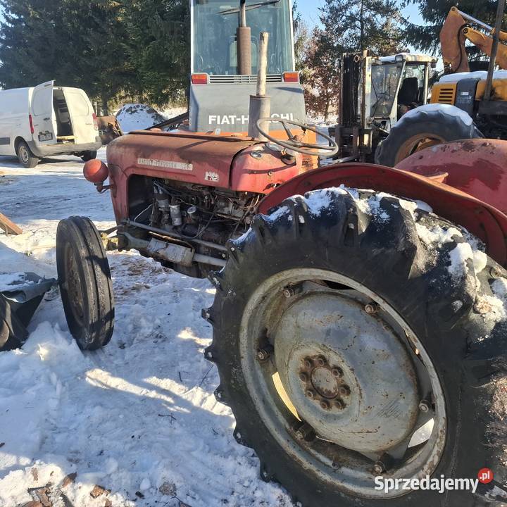 Massey ferguson Grabów nad Wisłą