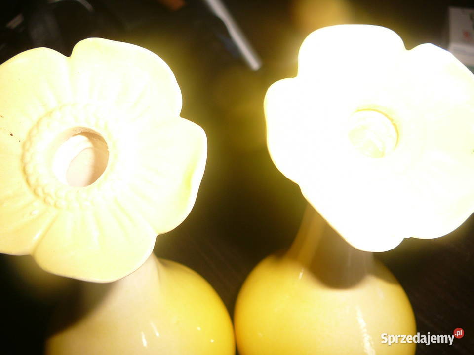 2 wazoniki ceramiczne kwiatki