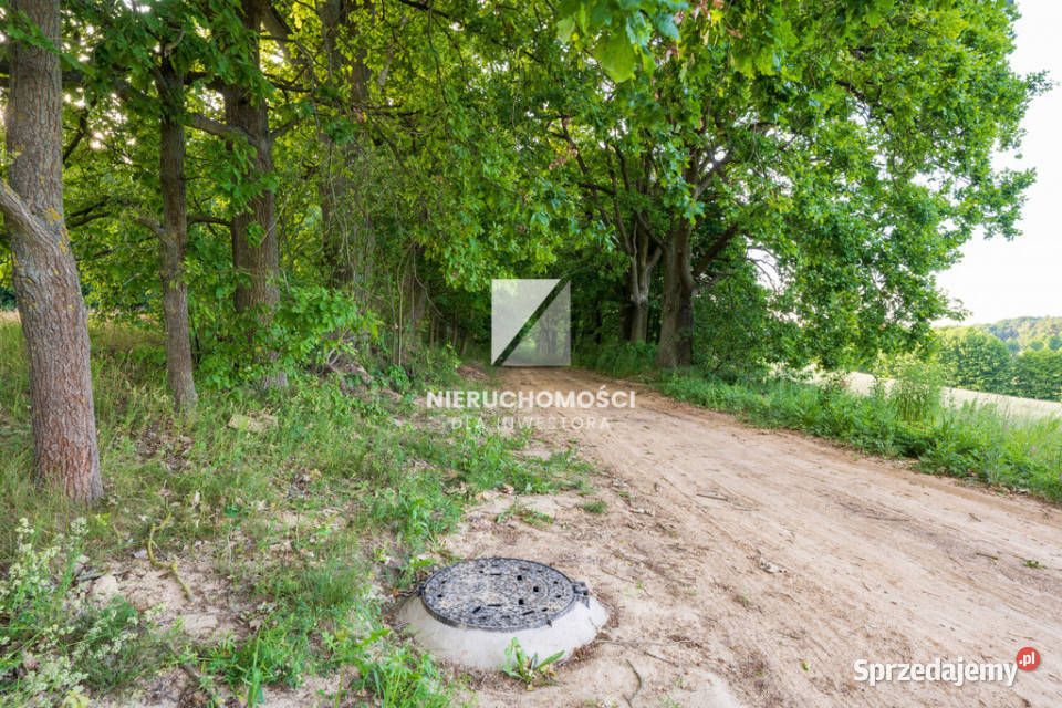 Kameralne działki budowlane w Kłodawie 1725 ar Kłodawa