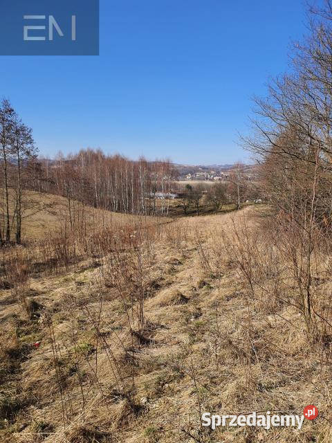 Działka 5000m2 Jazowa