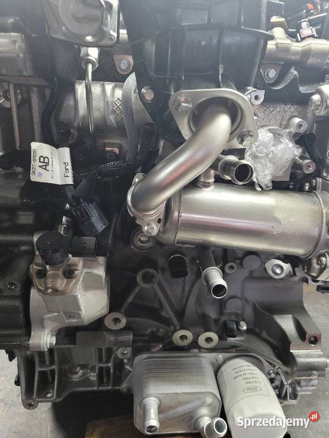 FORD RAPTOR SILNIK SERWIS MONTAŻ GWARANCJA Radom sprzedam