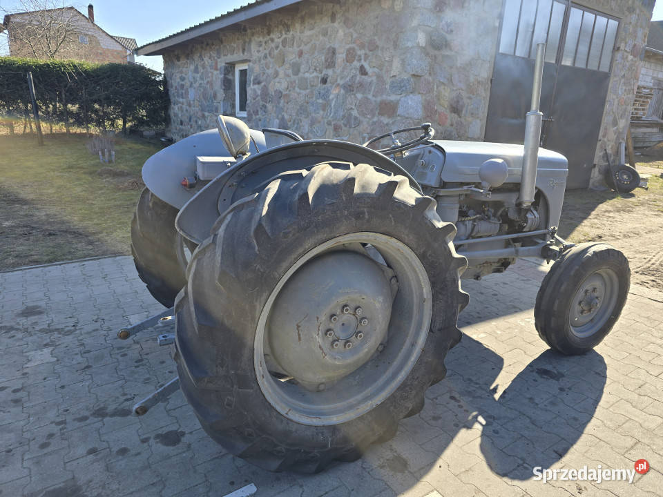 Zabytkowy ciągnik MASSEYHARRISFERGUSON TEF 20 Skrzynia biegów Manualna podlaskie Baliki
