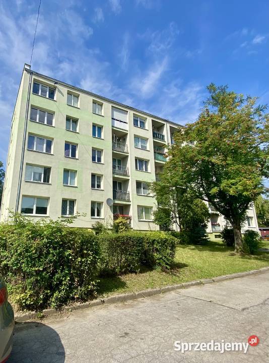 Mieszkanie Grunwaldzki 58m3 pokoje Gliwice