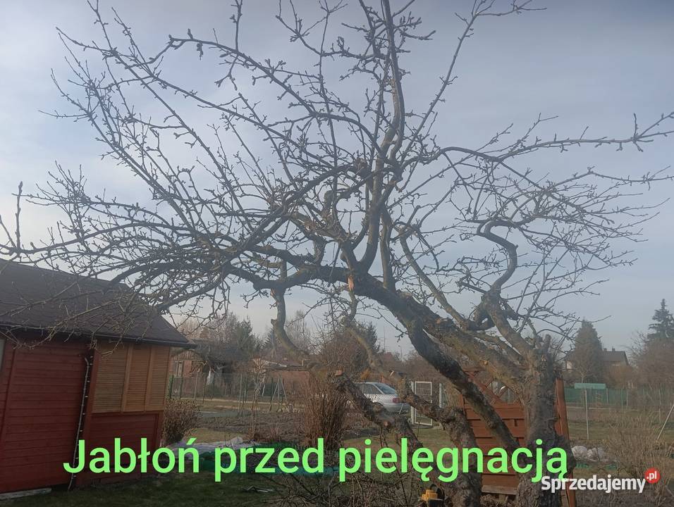 Dowóz na zabiegi do szpitala Zamość