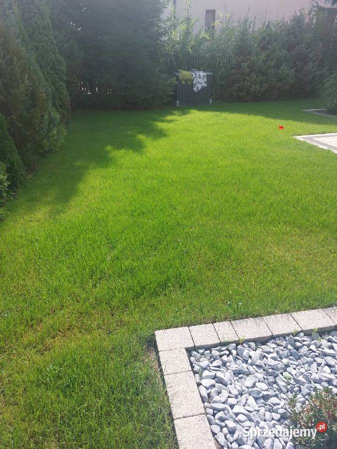 czarnoziem Olsztyn ziemia z dostawą wywrotka