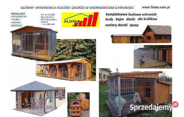 kojec boks buda psa walton Sochaczew