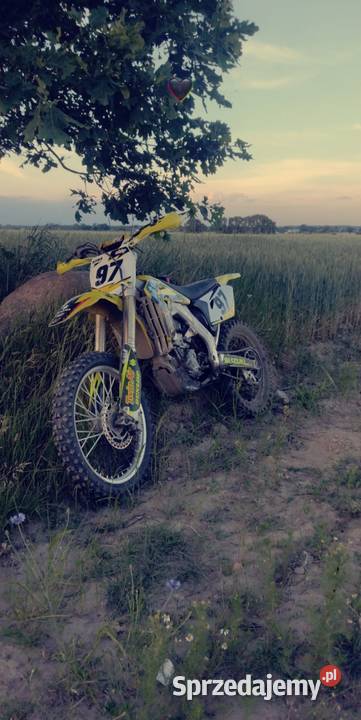 Suzuki RM z 450