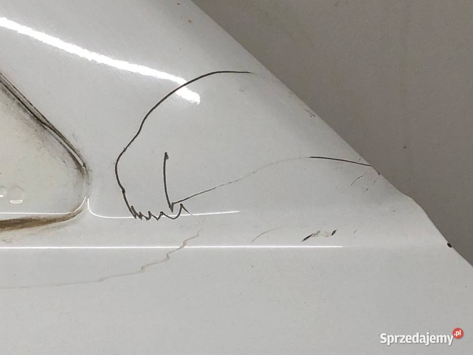 DRZWI PRAWY PRZÓD DODGE DAKOTA III Pickup