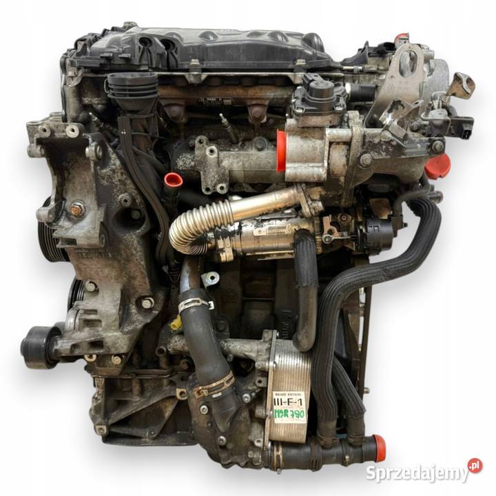SILNIK M9R780 Opel Vivaro Renault Trafic Nissan osobowe Chełm