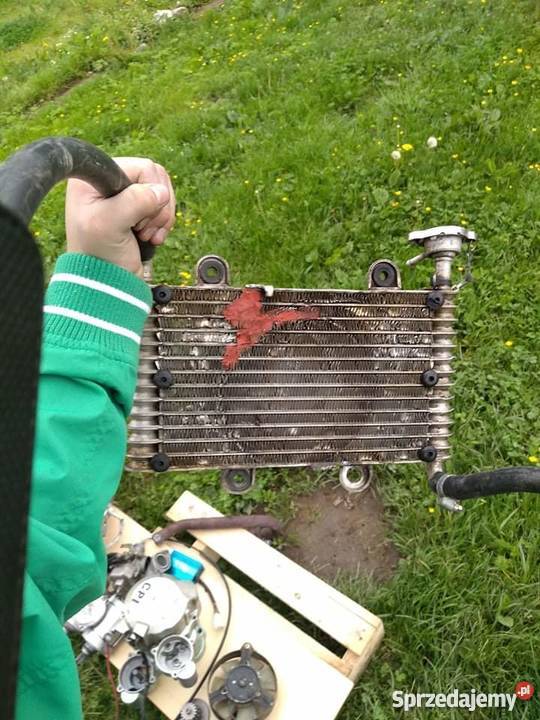 Silnik quad 250cc ciecz sprawny dużo dodatków podkarpackie Lesko