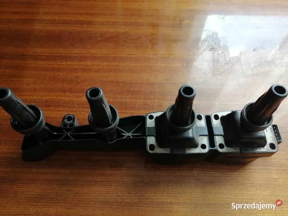 Peugeot Citroen Cewka Zaplonowa wielkopolskie