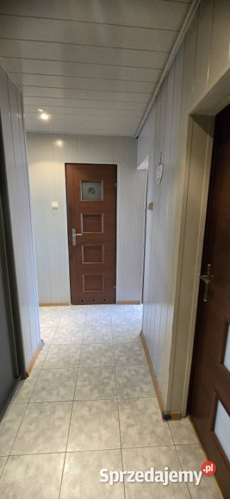 Mieszkanie 3 pokoje borki pawia Radom