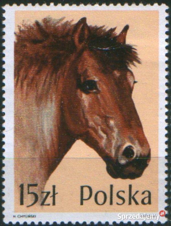 Zn Fi 3043 1989 śląskie Gliwice