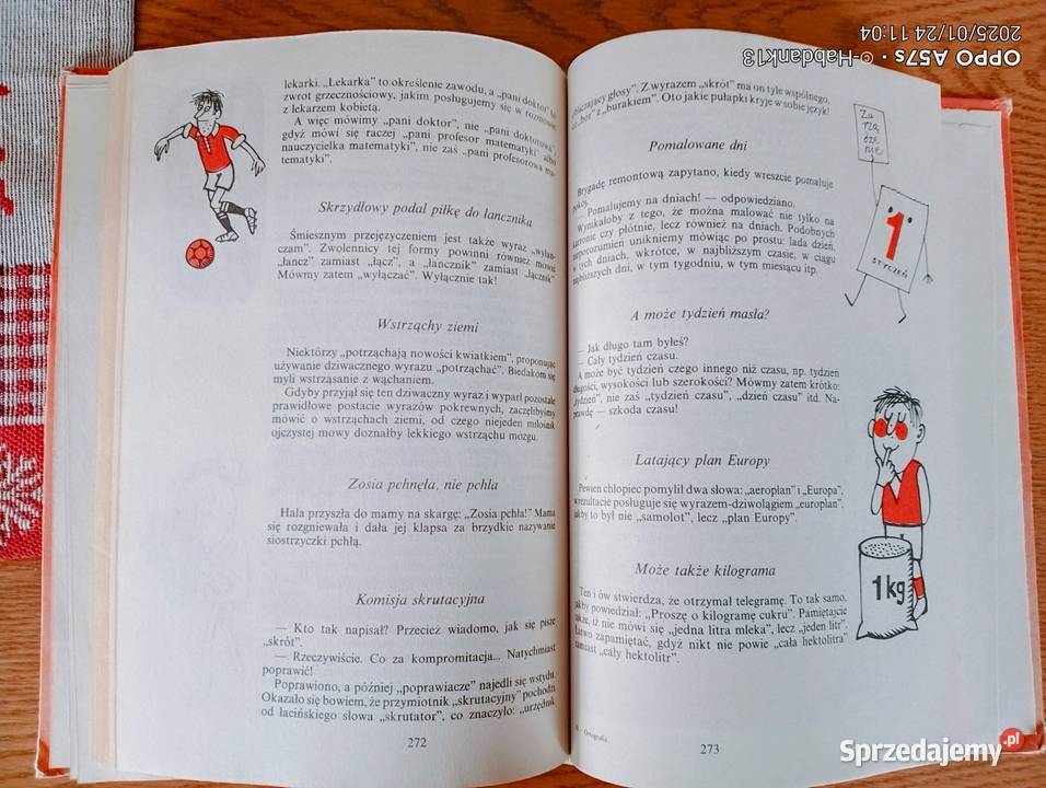 Ortografia i gramatyka na wesoło