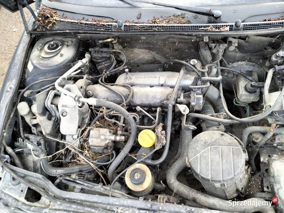 Laguna 1 MK1 kombi części lubelskie Kamień-Kolonia