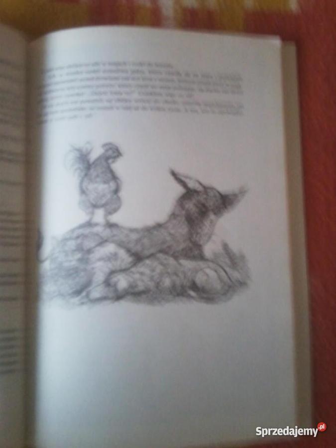 Baśnie Braci Grimm Kolorowe ilustracje