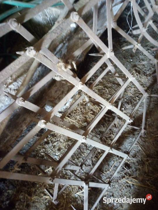 Sprzedam brony trzy pola podkarpackie Jarosław sprzedam