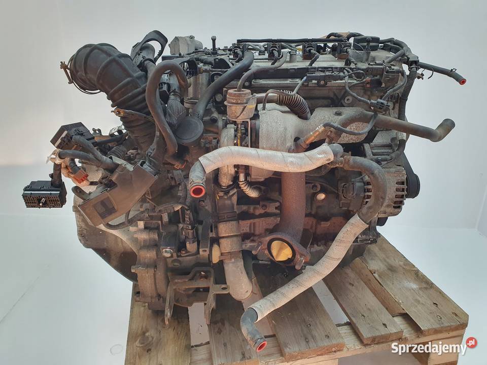 SILNIK KOMPLET Kia Cerato II 16 CRDI 115 Rudka