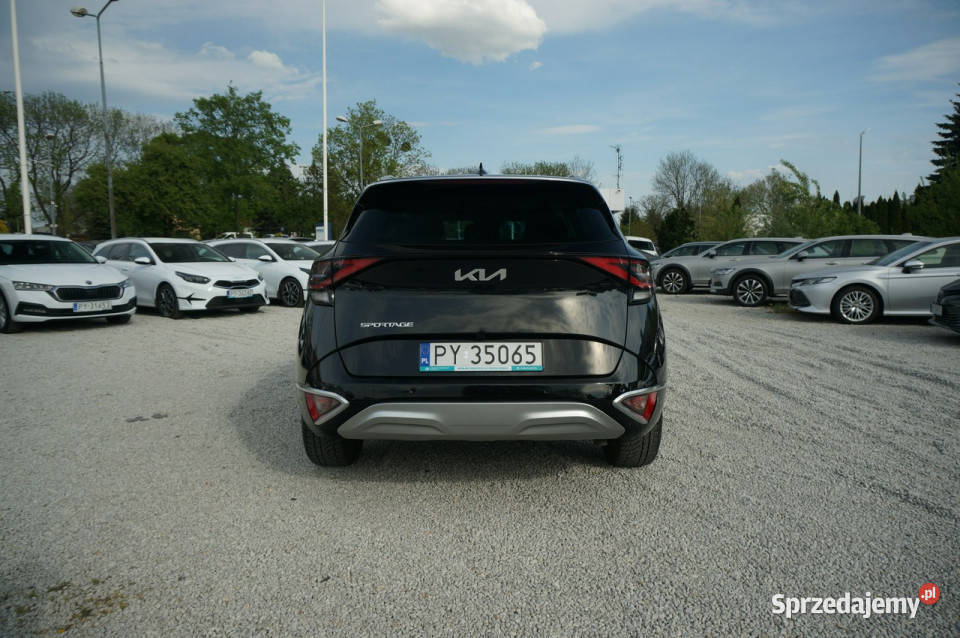 Kia Sportage 16 TGDI MHEV DCT 180 Business Line 180KM Poznań