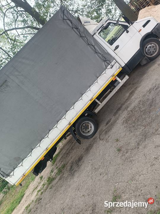 Iveco daily Samochody dostawcze Wola Skromowska