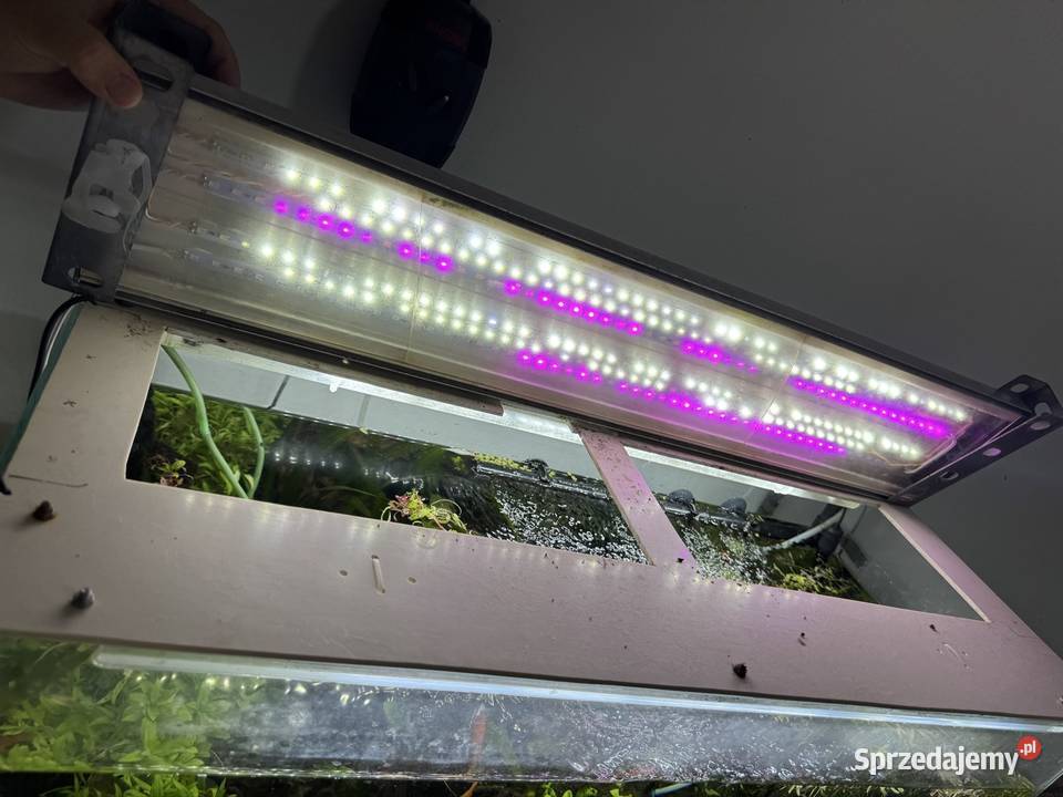 Akwarium 140L Optiwhite aquael ultramax 1500 Wrocław