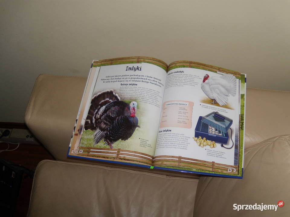 Zwierzęta hodowlane Odkrywanie świata Rok wydania 2015 Warszawa