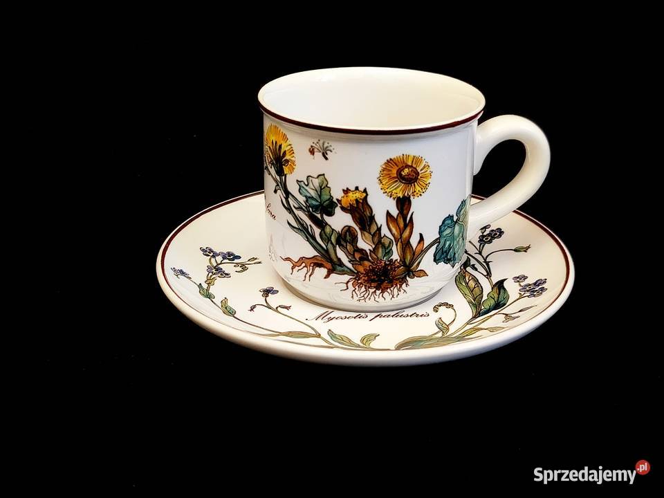 Zestaw kawowy Villeroy Boch Botanica Chełm sprzedam