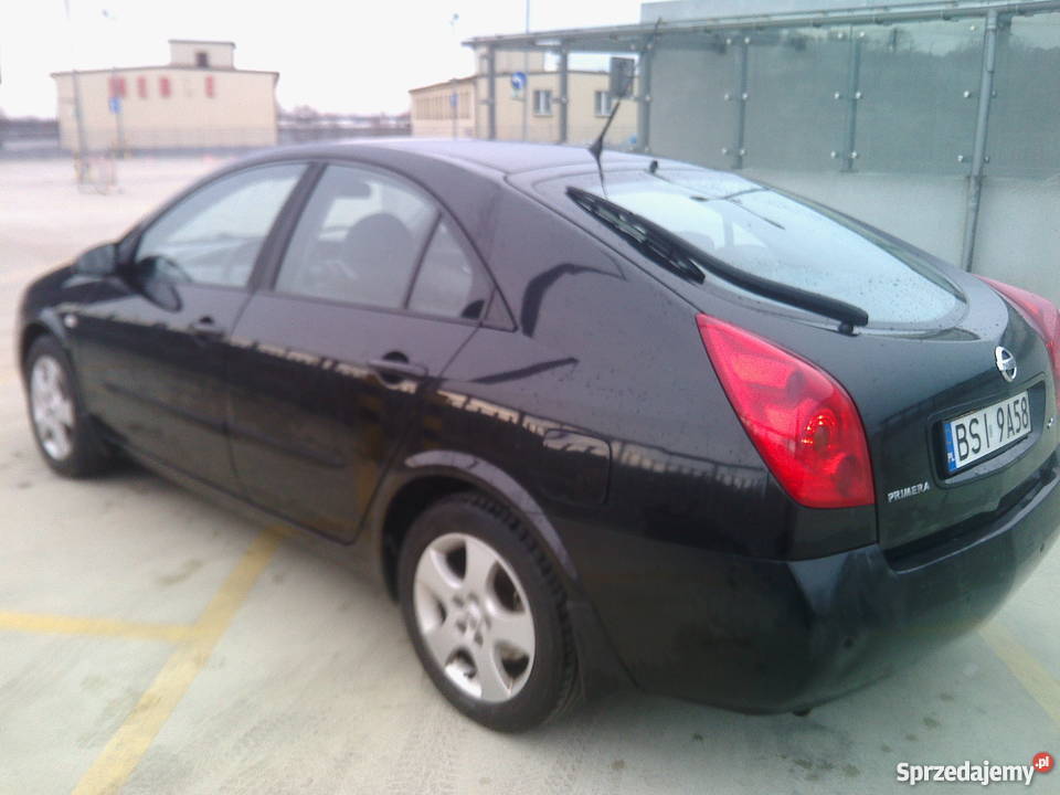 Nissan Primera P12 19dci ASR (kontrola trakcji) Kłaj sprzedam