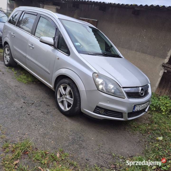 Opel Zafira b Van / Minibus Leśna