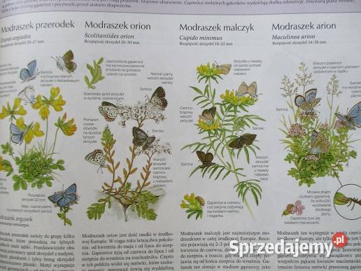 Nasza przyroda Świat zwierząt przyroda biologia biologia, ekologia Łódź