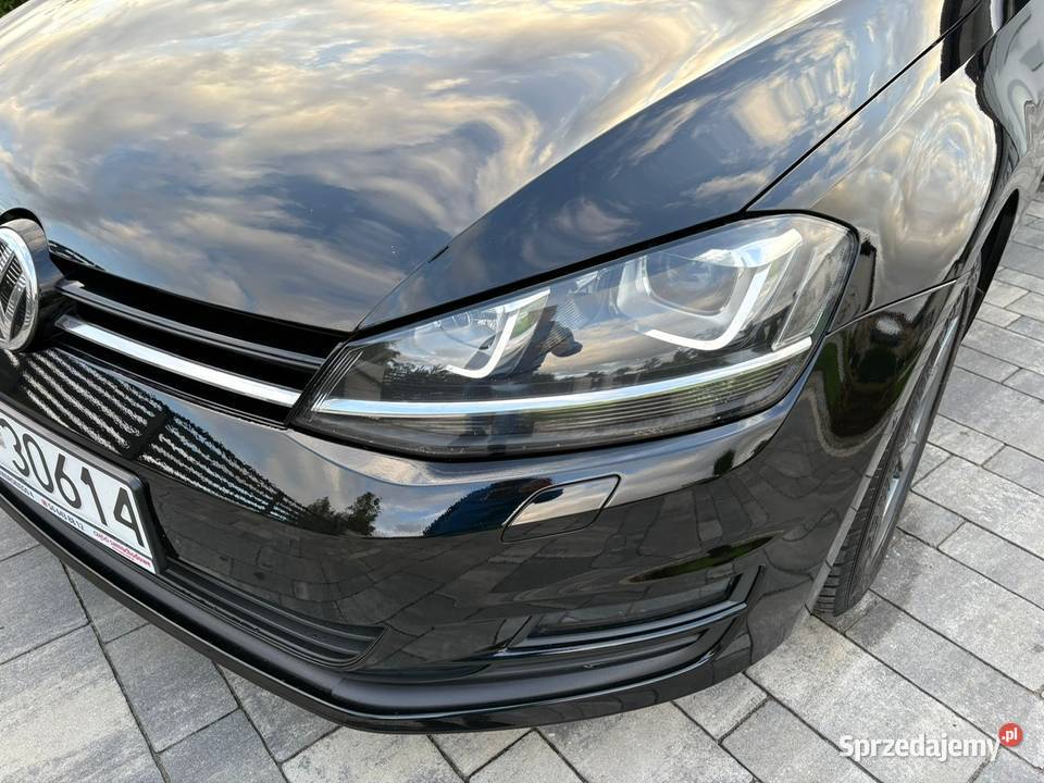 Volkswagen Golf VII Xenon benzyna nieuszkodzony Świecie