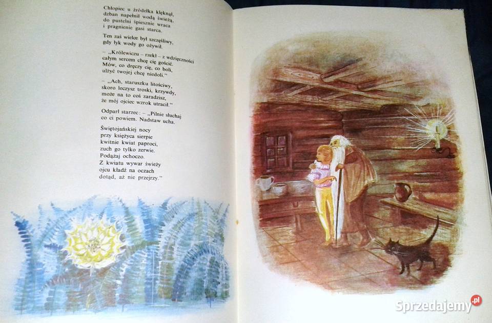 Baśń o czarnym chlebie Konstancja Rostworowska Chełm