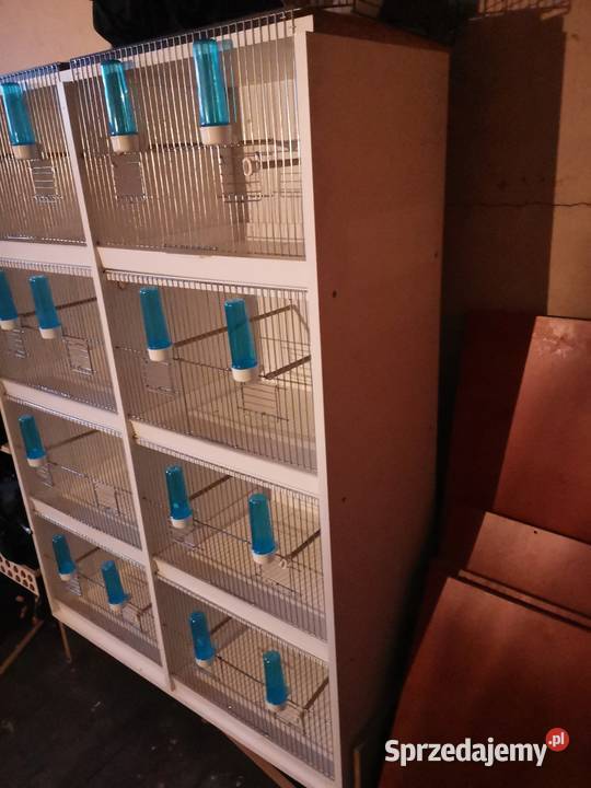 Klatki legowe małej egzityki Chorzów