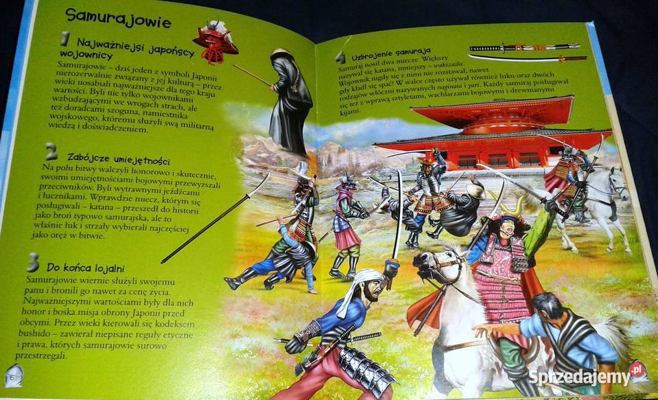 101 ciekawostek Wojownicy Niko Dominguez F lubelskie Chełm sprzedam