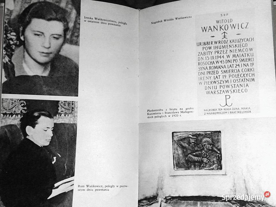 Ziele na kraterze Melchior Wańkowicz Rok wydania 1976 Pozostałe Chełm