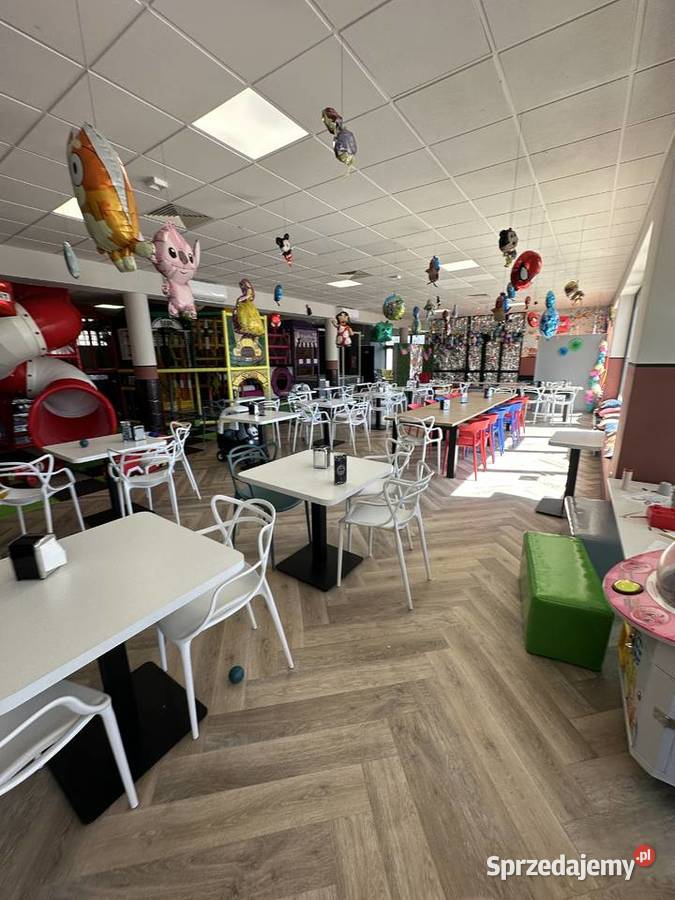 Konstrukcja sali zabaw sala zabaw małpi gaj Pozostałe Siedlce sprzedam