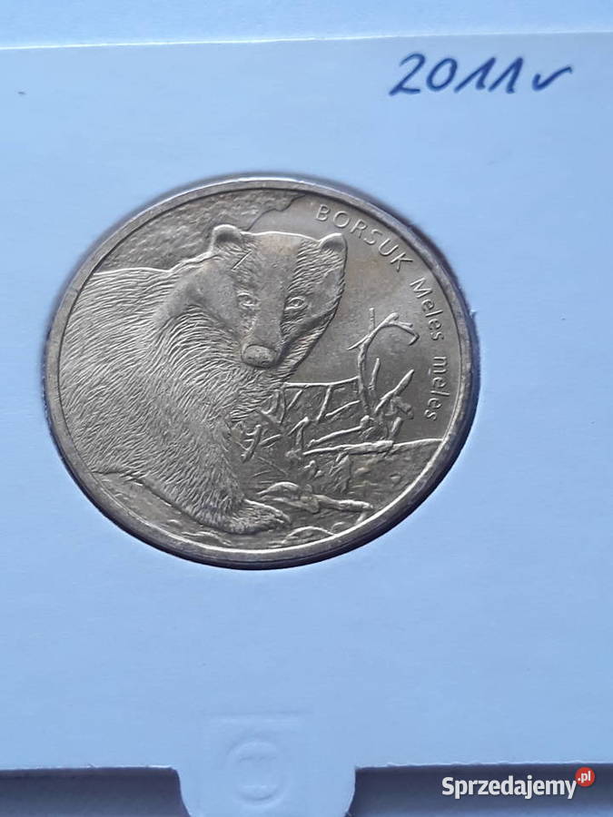 2 Borsuk 2011 rUNC Numizmatyka Konin sprzedam