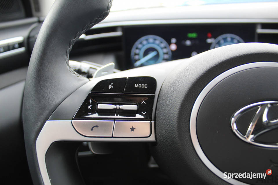 Salon Polska Faktura VAT 23 Platinum 4WD Wkrótce