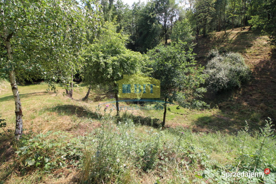 Unikatowe działki Jeziorem Komorze siedliskowa sprzedam