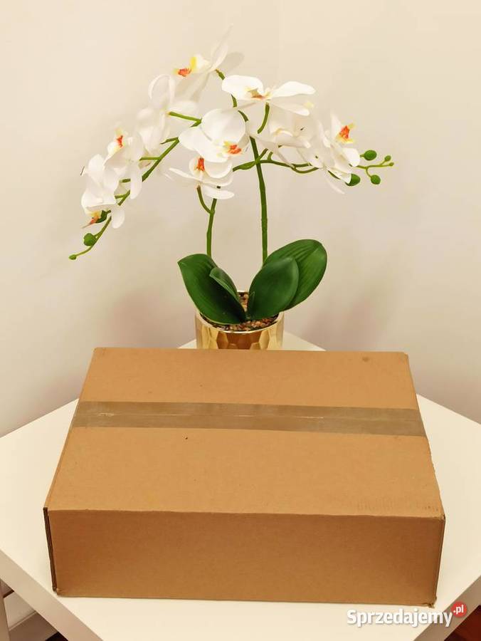 Pudełka kartony 37x28x11 Siedlce