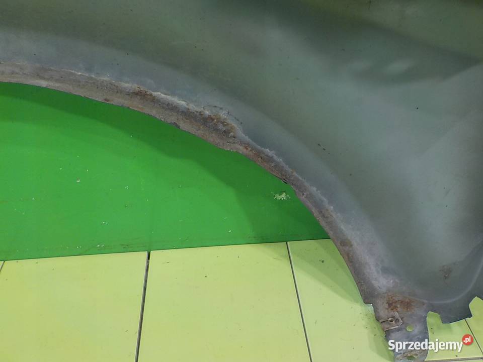 LAND ROVER FREELANDER II 22 TD4 09r 5D blotnik Suków