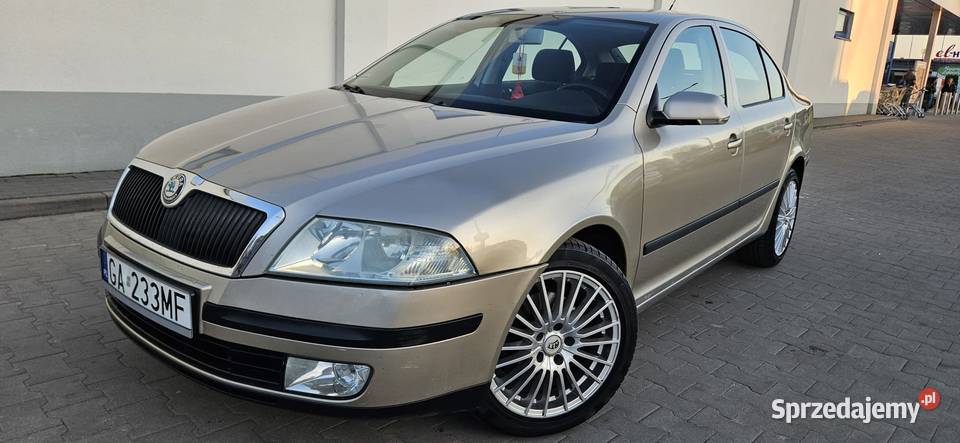 Skoda Octavia II 2006r 19 TDI automat DSG Rok produkcji 2006 Elbląg