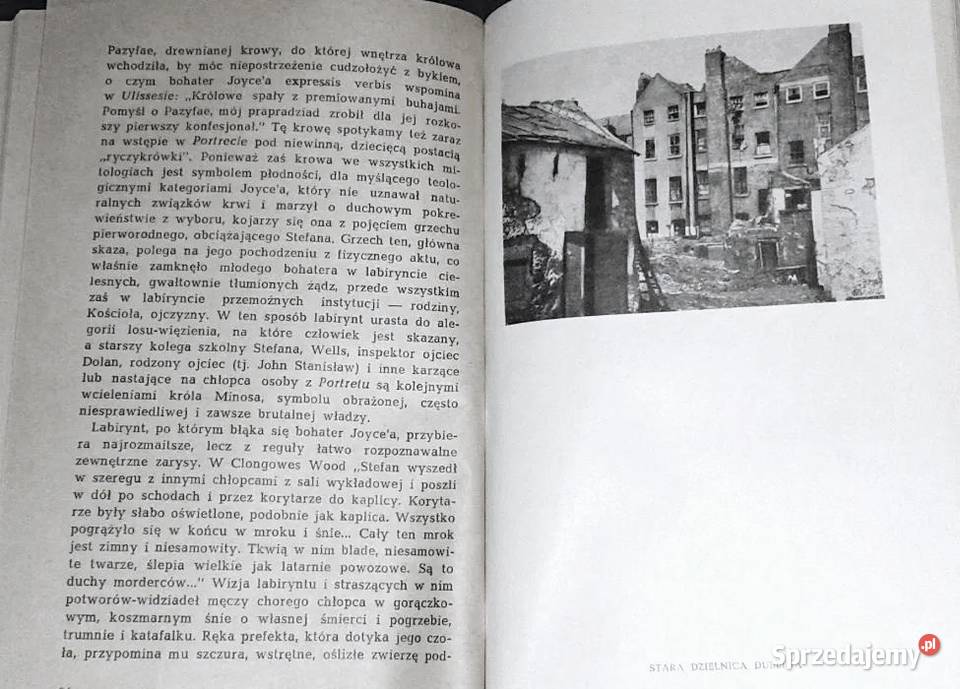 Telemach w labiryncie świata O twórczości Jamesa Rok wydania 1962