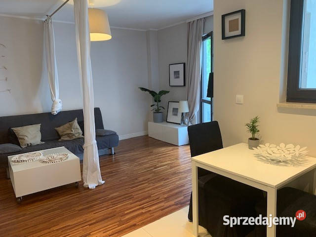 BEZPOŚREDNIO 33m2 taras 10m Jana Olbrachta 29a internet