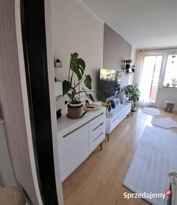 Sprzedam mieszkanie słoneczne 2 pokoje Białogard