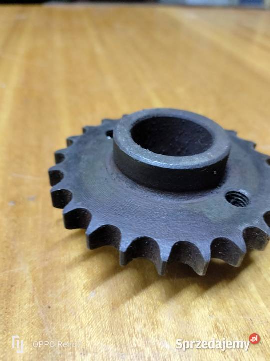 Zębatka 24 zęby panonia Łubno