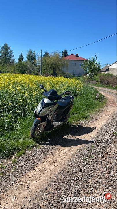 Skuter zumico shiva 50 4t Nowy Skoszyn