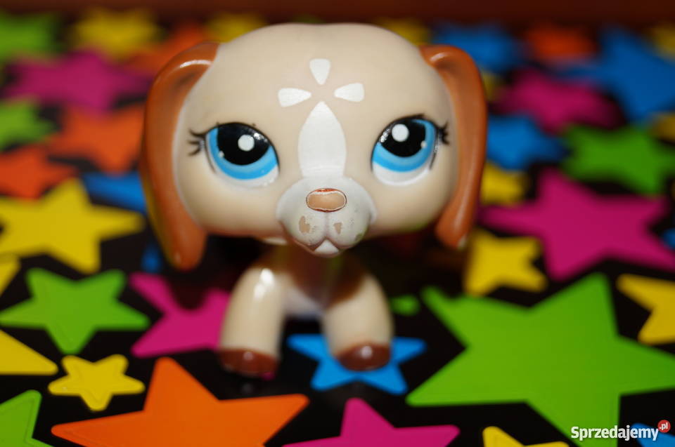 LPS jamnik UNIKAT 1491 Littlest Pet Shop pies