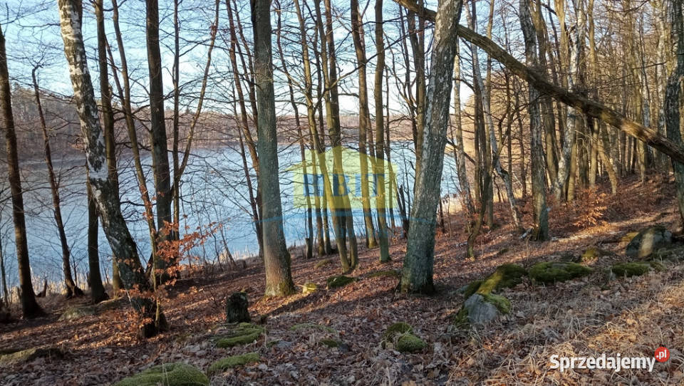 Działka 6066 m2 z dostępem do jeziora Kaleńsko Żelisławie