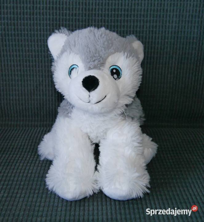 Maskotka piesek husky nowy dolnośląskie Wrocław